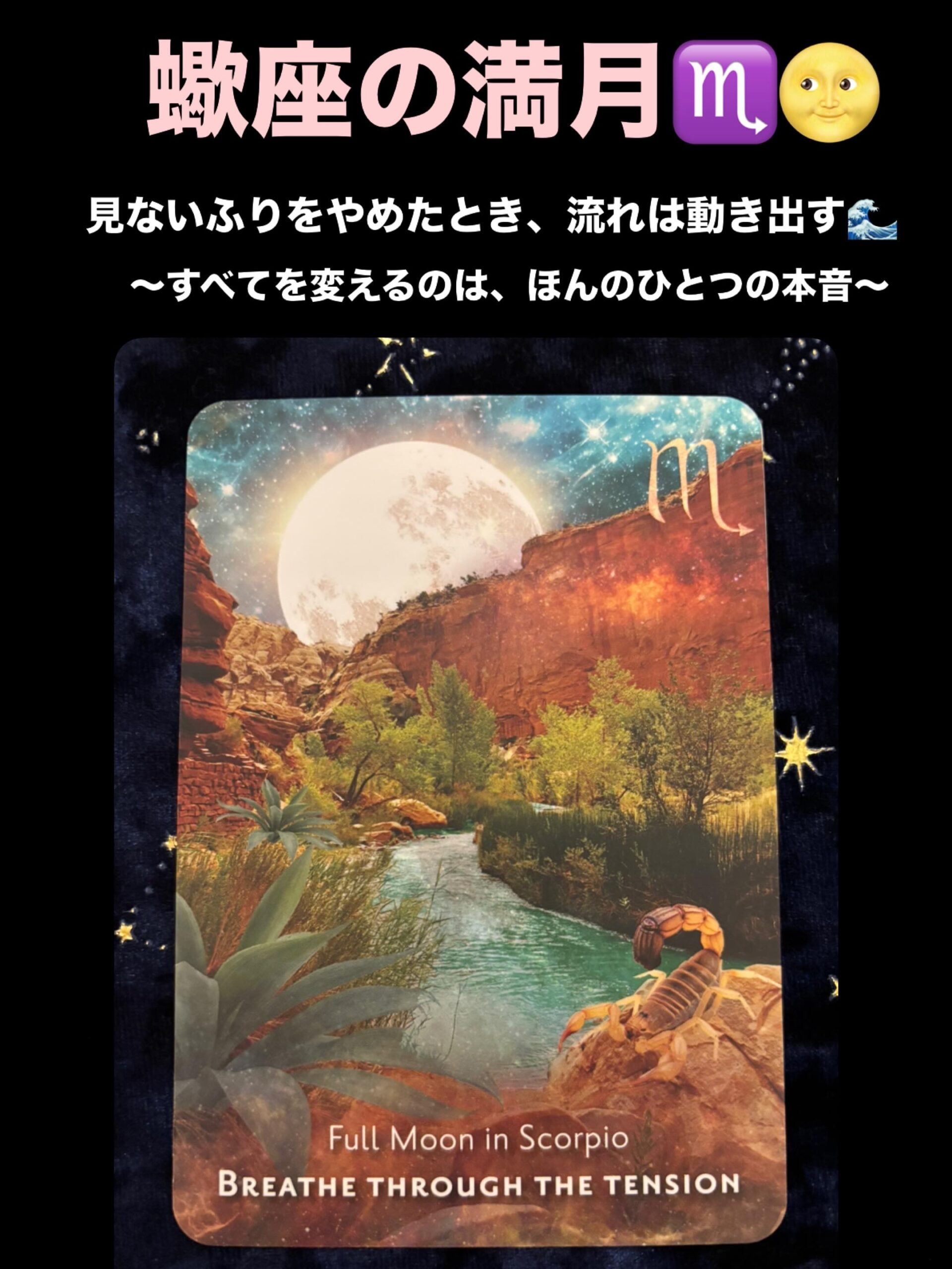 蠍座・満月